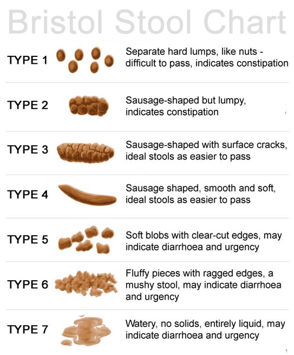 Bristol Stool Chart